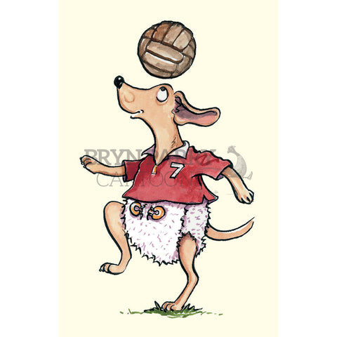 Puppies love ball games