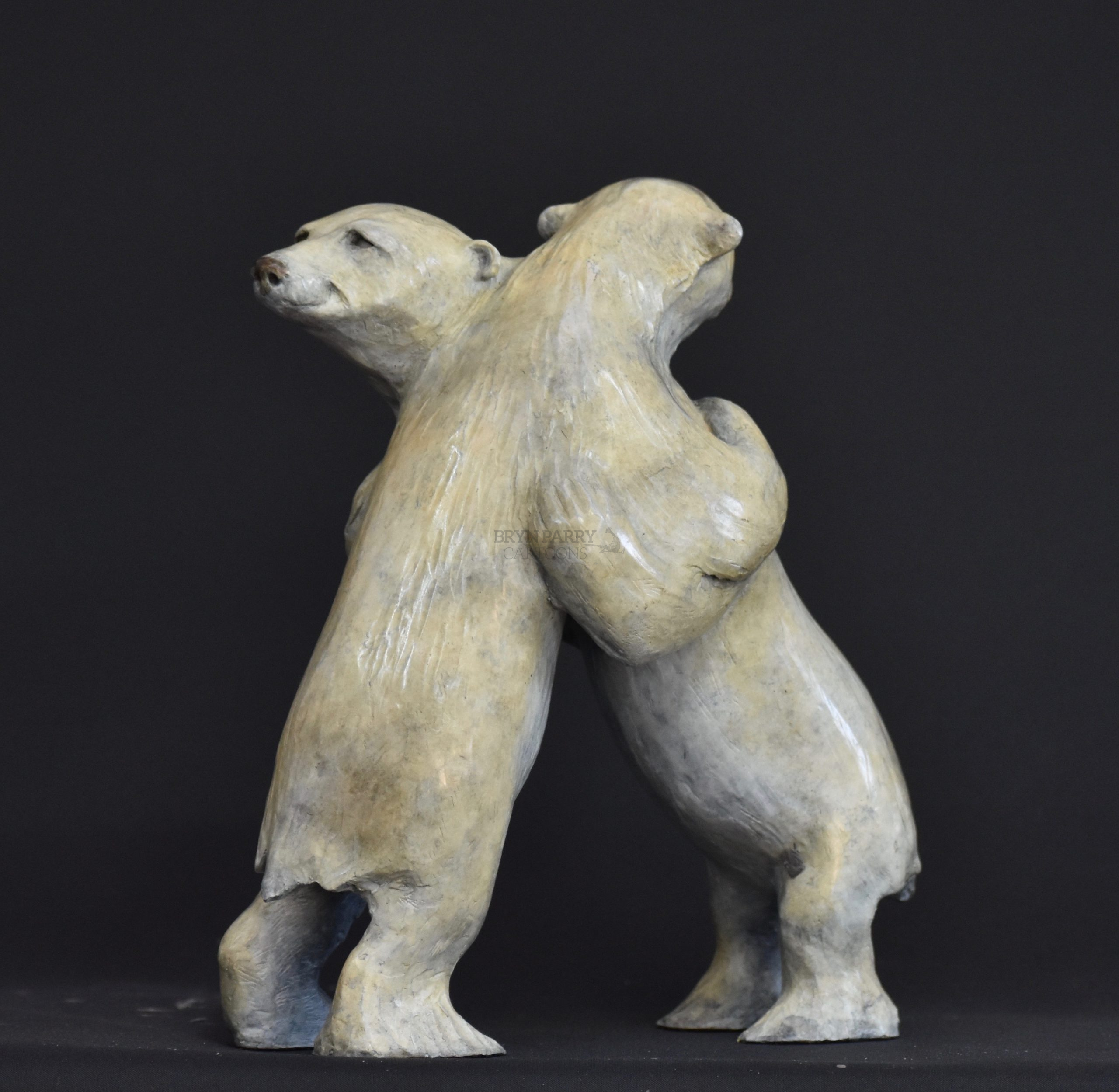 Bear Hug – Bryn Parry Studios